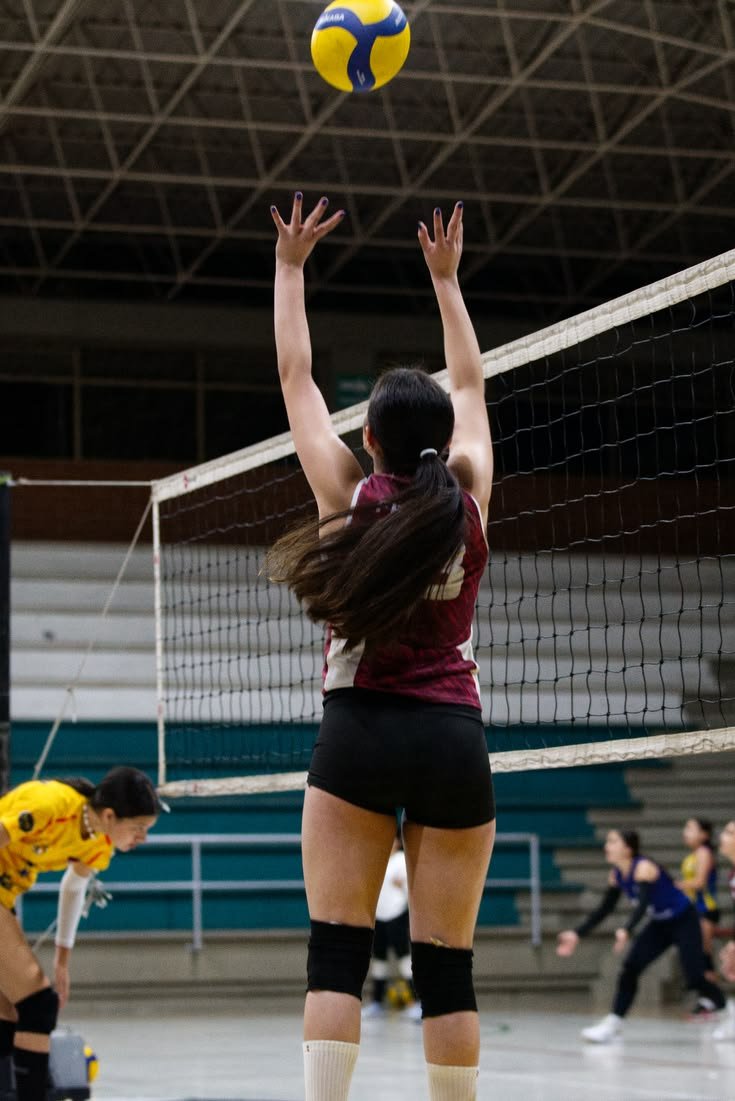 FALCON-VOLEIBOL-2